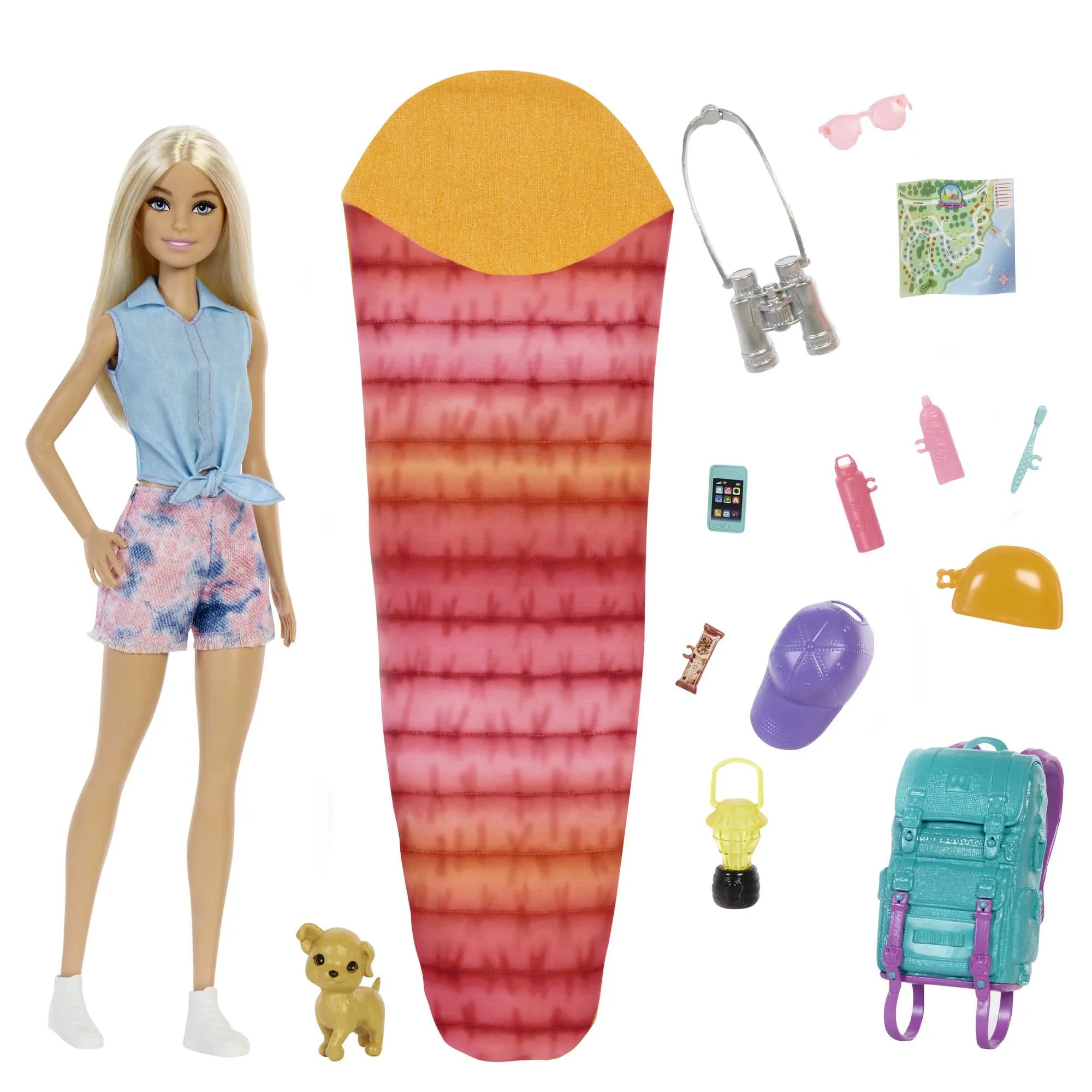 Barbie Doll And Accessories