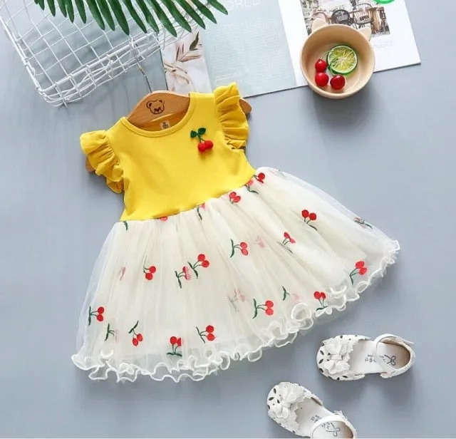 Tulle Skirt Baby Girl Dress