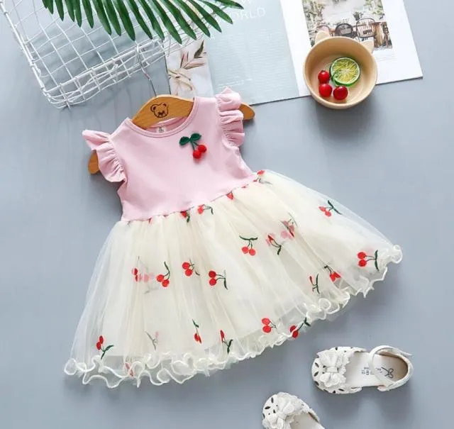 Tulle Skirt Baby Girl Dress